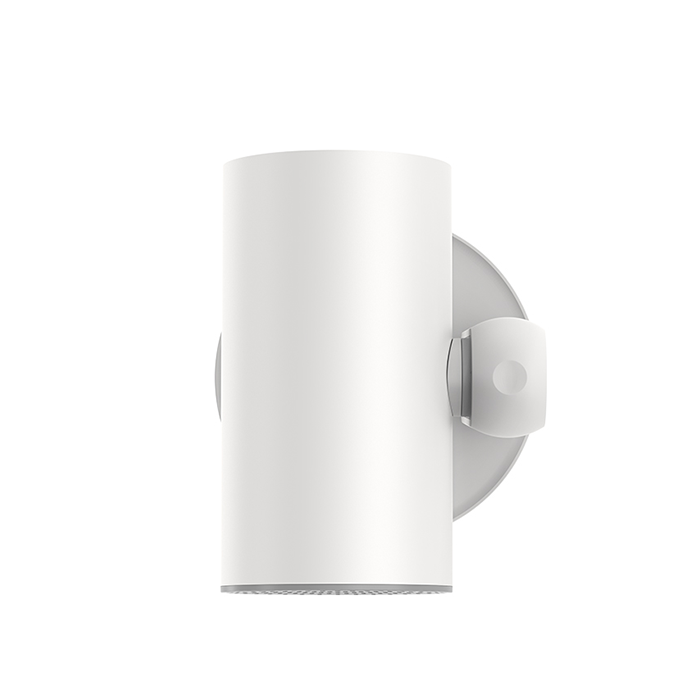 Etoe Starfish Projector Sale price